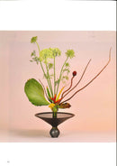 Perfect Imperfection