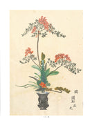 Ikebana Bijutsu Meisakushu vol.1 - Rikkazu Narabini Sunamono