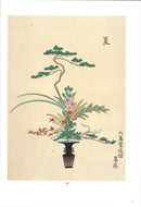 Ikebana Bijutsu Meisakushu vol.4 - Shinsen Heikazui