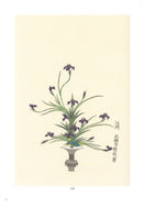 Ikebana Bijutsu Meisakushu vol.5 - Senjo daiHeikazu