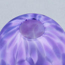 玻璃・玫莉 小 (S) TP-24