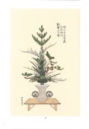 Ikebana Bijutsu Meisakushu vol.8 - Sensho Risshokashu
