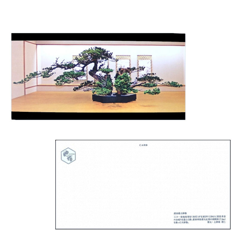 Hanaikusa Post Card