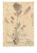 Ikenobo Senko Rikka Meisakushu