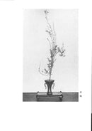 Ikenobo Shoka no Manabikata Vol.1 Shiki no Somoku (seasonal plants)