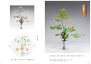 Ikebana Lesson Supplement -Rikka Plus-