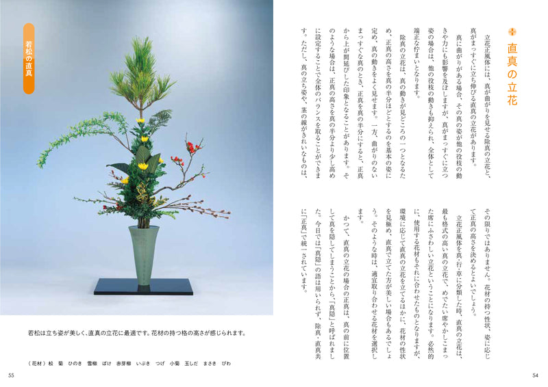 Ikebana Lesson Supplement -Rikka Plus-
