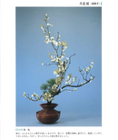 Shoka, Rikka Sakura Notebook