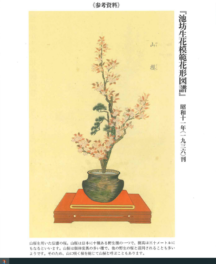 生花・立花櫻筆記