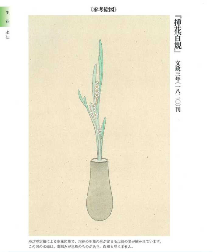 生花・立花水仙筆記