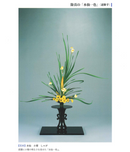 Shoka, Rikka Suisen Notebook